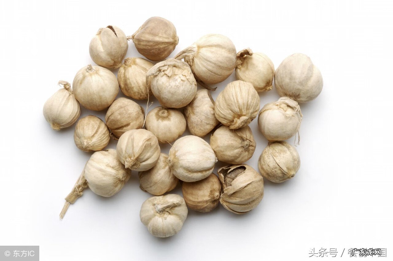 莽草是什么植物 莽草果