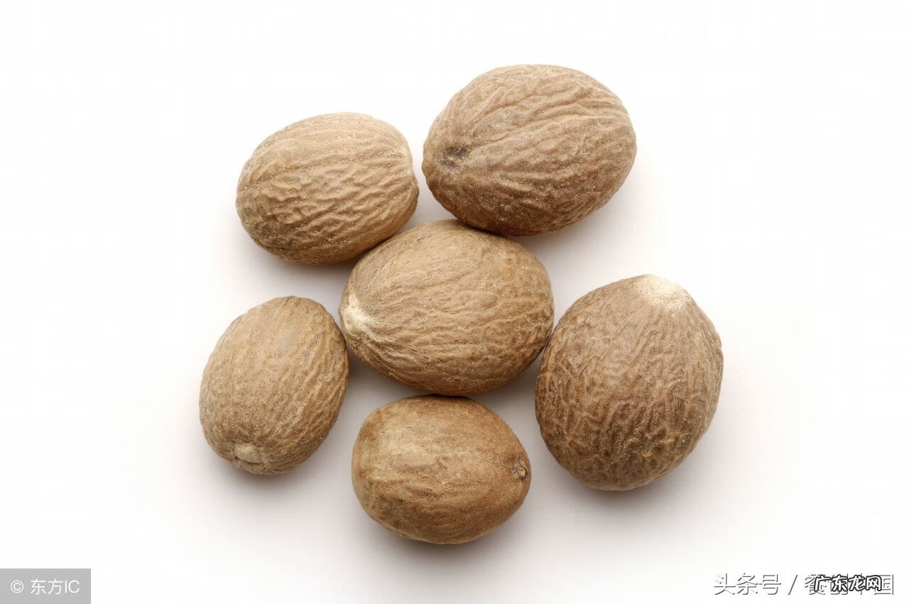 莽草是什么植物 莽草果