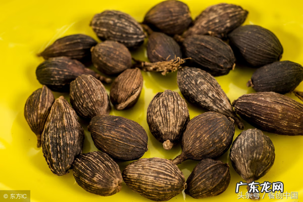 莽草是什么植物 莽草果