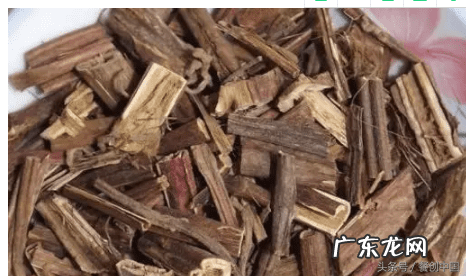 莽草是什么植物 莽草果