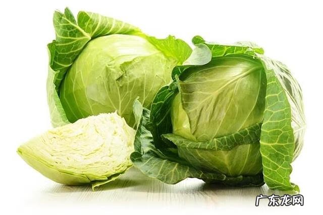 肠胃不好吃什么东西好 肠胃不好吃什么调理