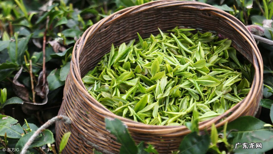 茶具摆放风水禁忌 开片的茶具