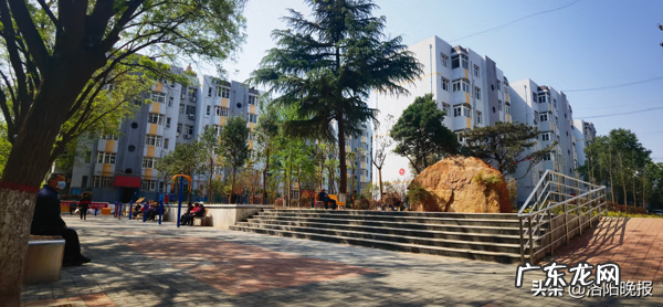 青砖风水墙 涧西区图片