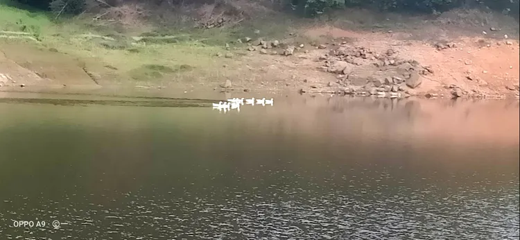 朱庄水库让不让钓鱼 几年没去过东风水库了