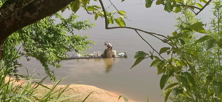 朱庄水库让不让钓鱼 几年没去过东风水库了