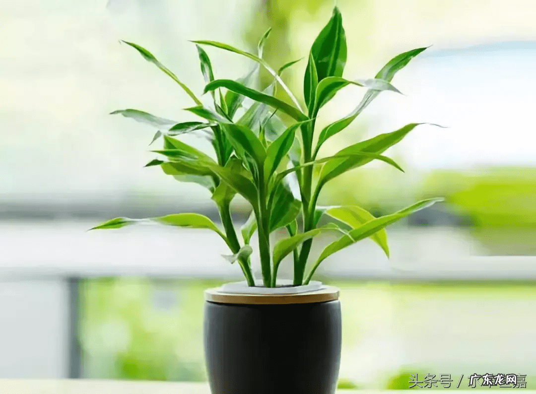 易善堂风水 北京念恩堂风水