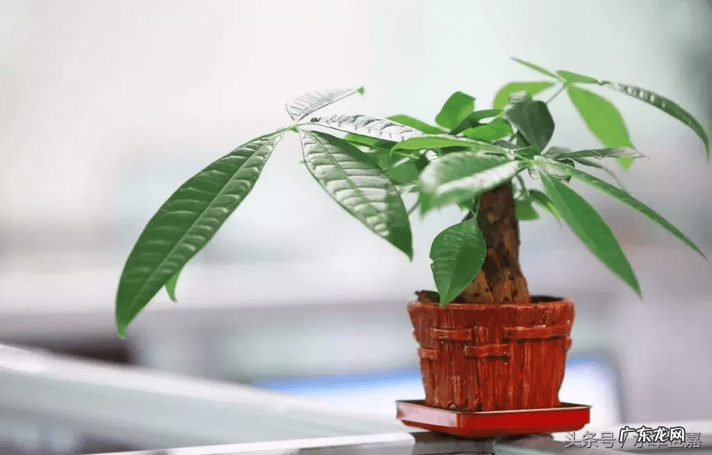 易善堂风水 北京念恩堂风水