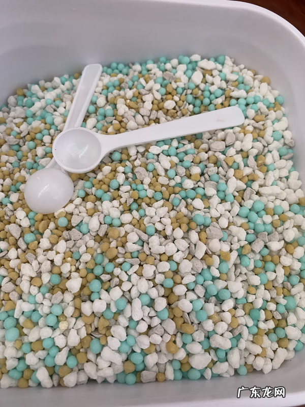 乡村别墅户型图及效果图 别墅花园工具房