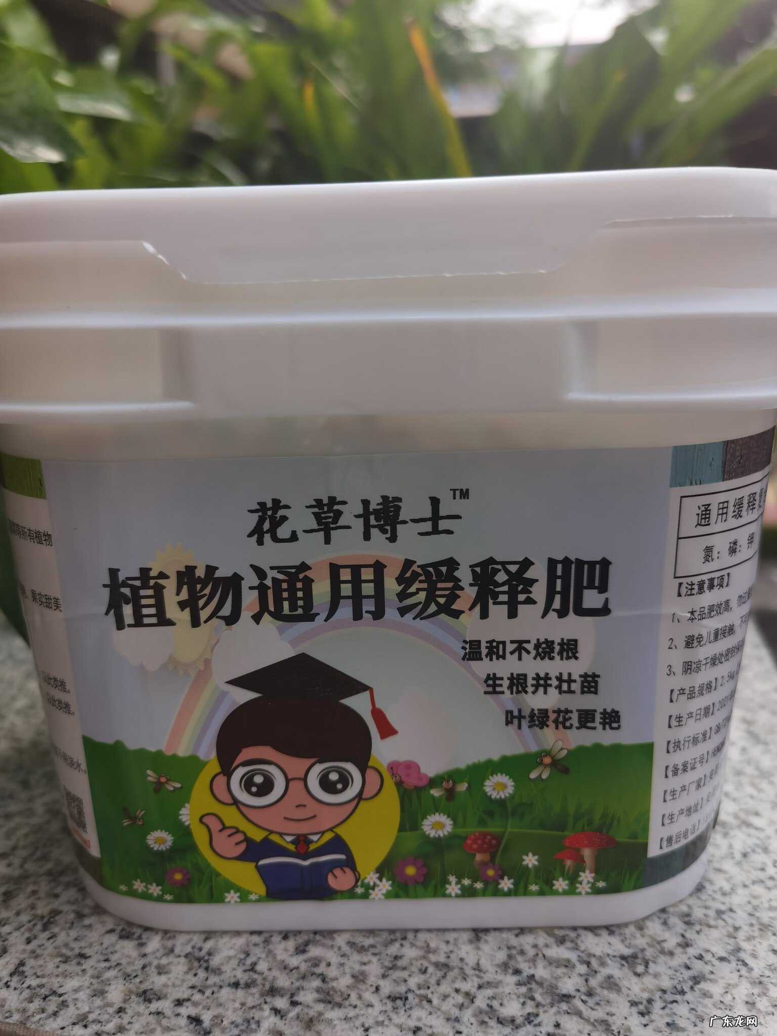 乡村别墅户型图及效果图 别墅花园工具房