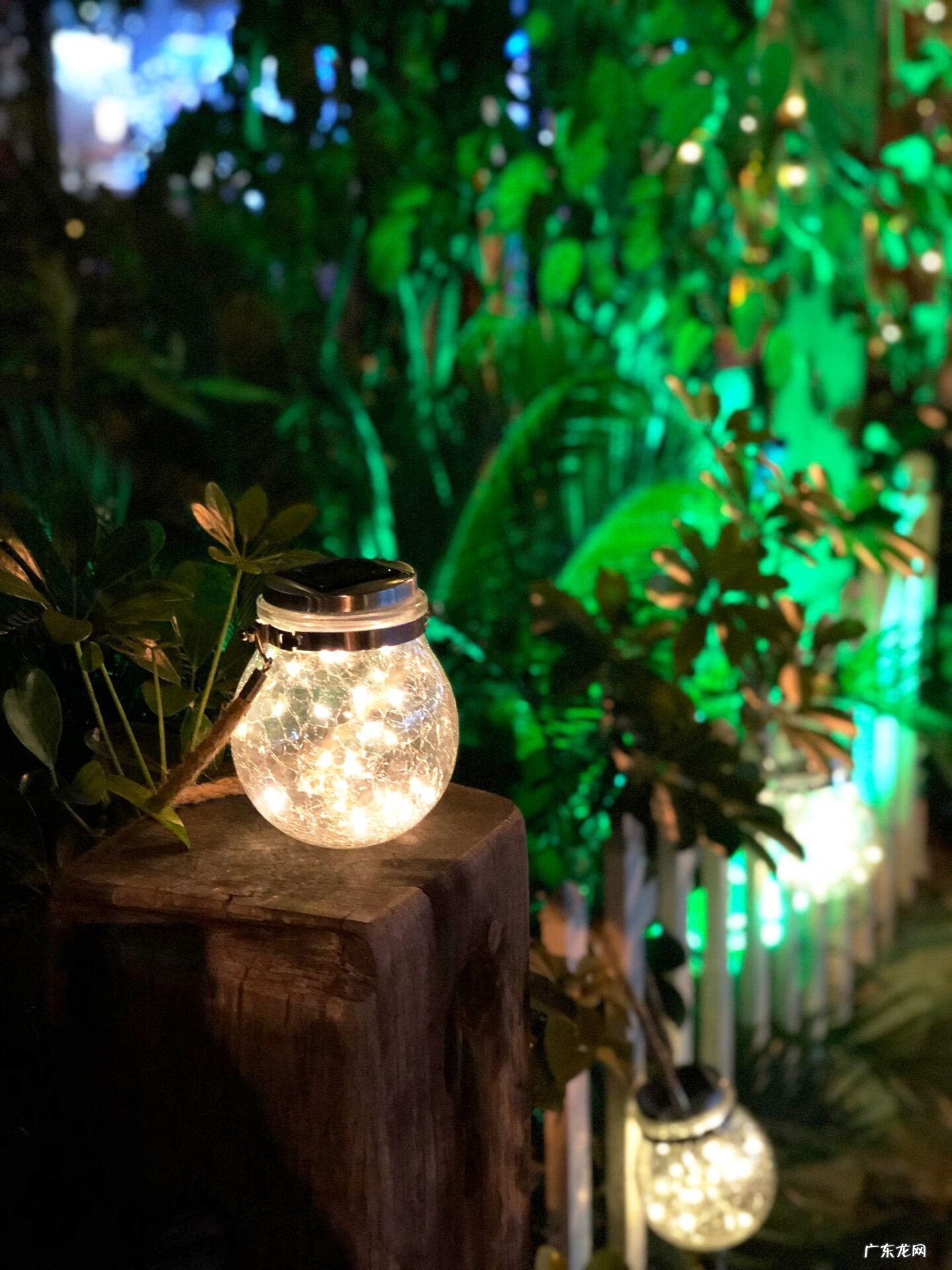 乡村别墅户型图及效果图 别墅花园工具房