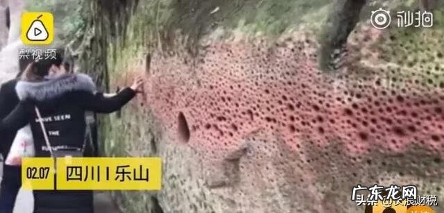 老乐山景区 乐山会计学堂