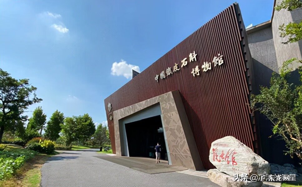 一般的石斛市场价是多少一斤 石斛市场价格