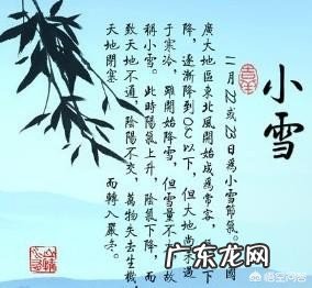 小雪节气适合吃什么?
