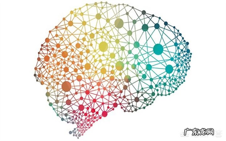 如何更好地开发右脑?