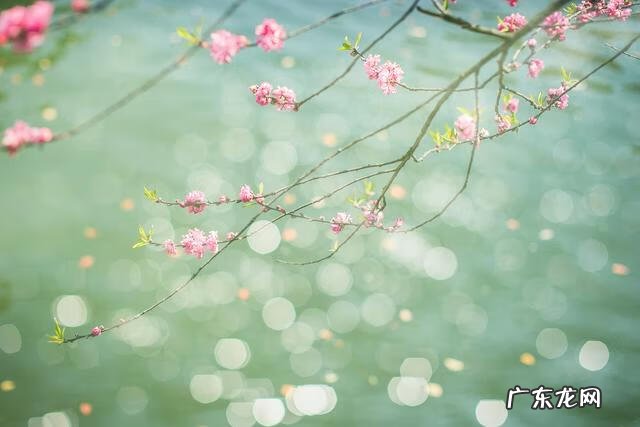 考研复试一般怎么考 计算机考研复试一般考什么