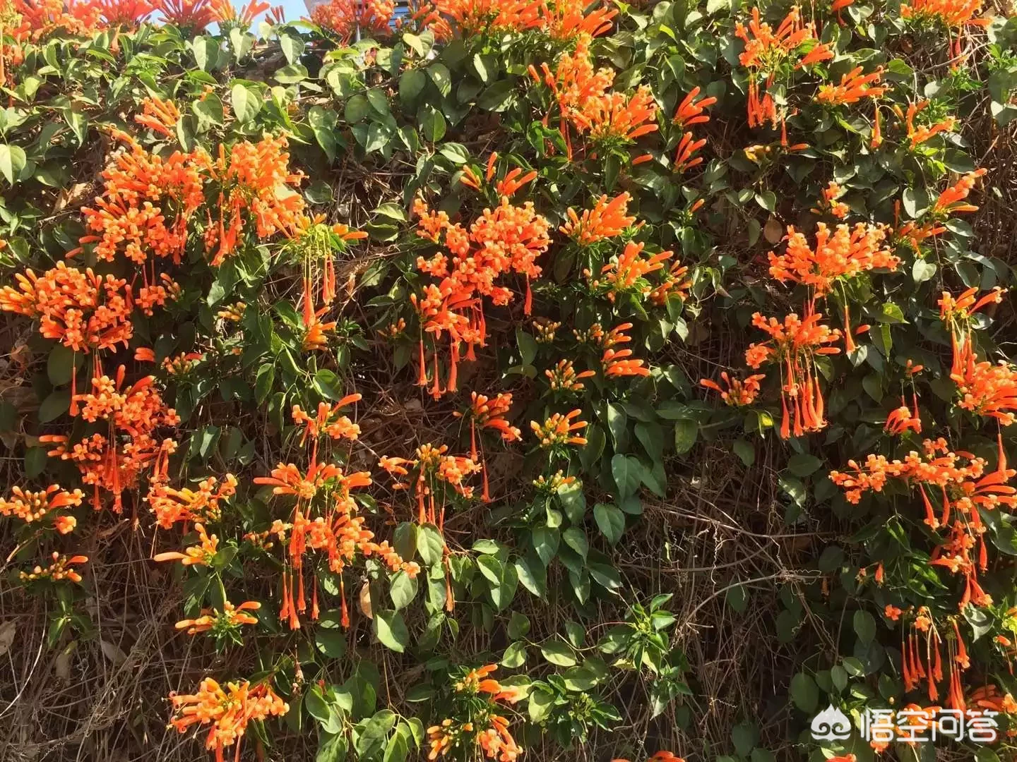 怎样才能写出优美又富有哲理的话?