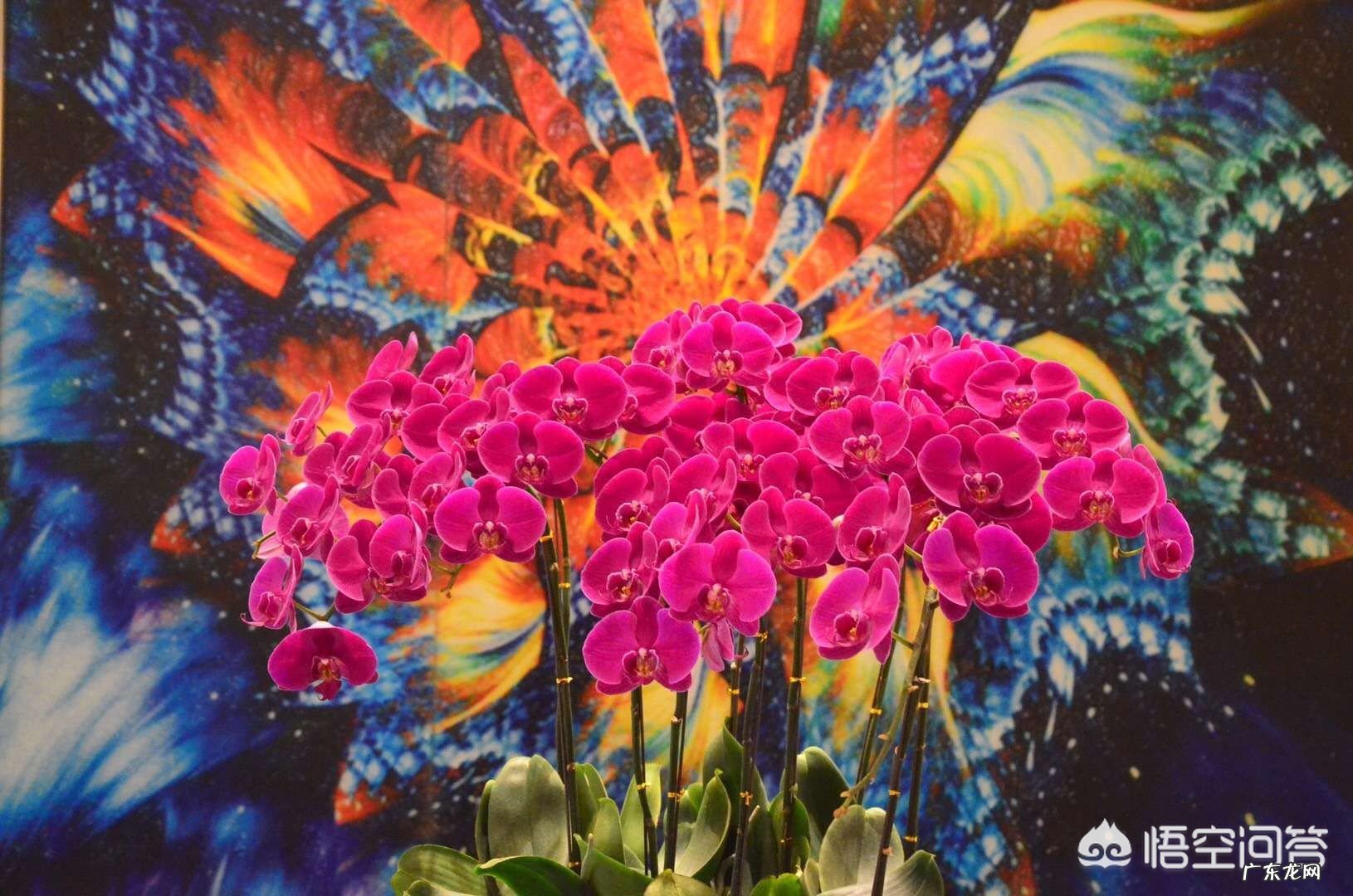 怎样才能写出优美又富有哲理的话?