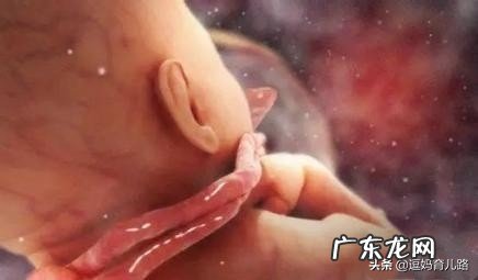 怀孕31周胎儿各项发育指标应该是怎么样的?