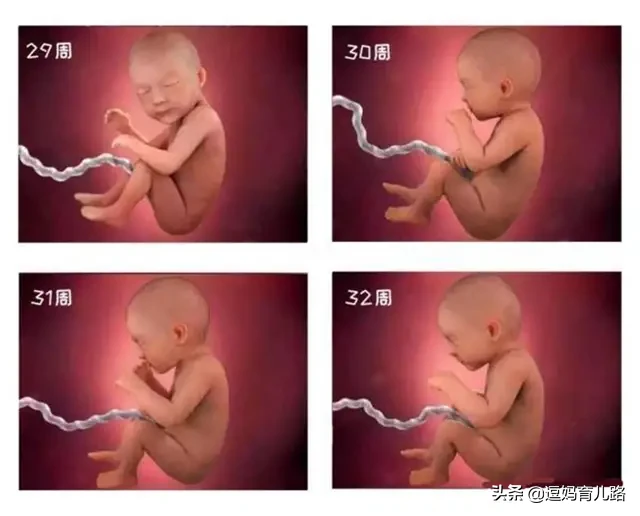 怀孕31周胎儿各项发育指标应该是怎么样的？