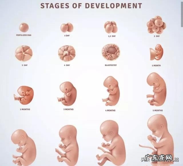 怀孕31周胎儿各项发育指标应该是怎么样的？