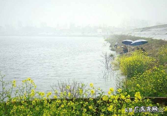 春钓为什么晴天反而不好上鱼?