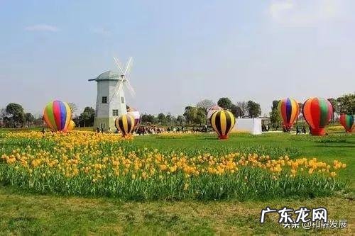 城市公园设计说明 社区公园设计说明