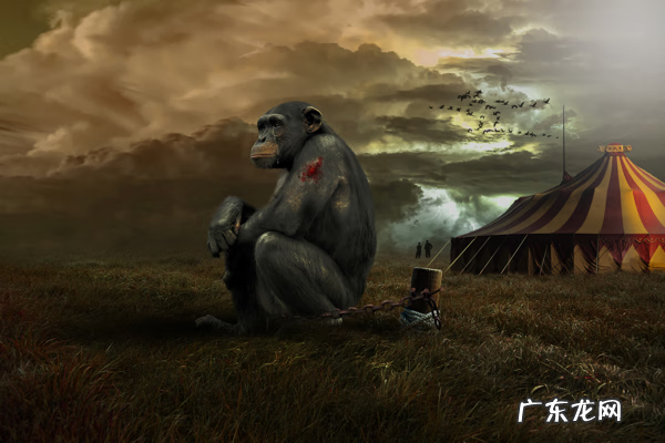 安全套有艾滋病毒 安全套可以艾滋病