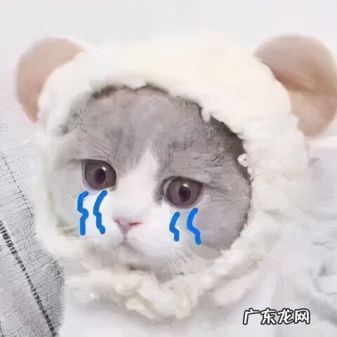 有靠节食减肥成功的吗 节食减肥成功的案例