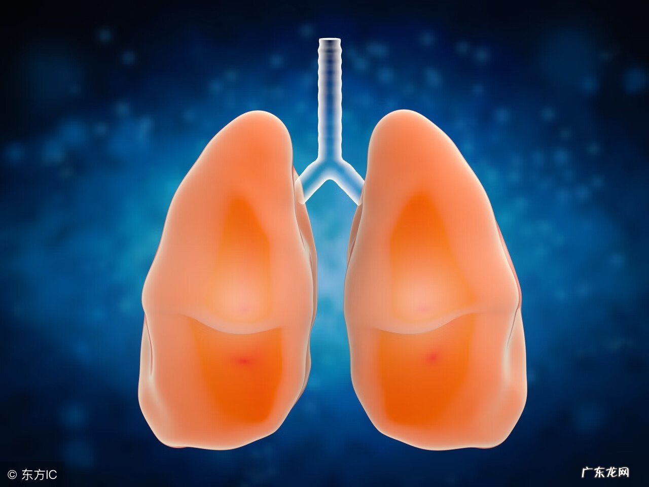 气胸开胸手术 气胸手术