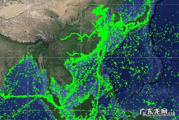 我国的近海可能有鲨鱼吗？