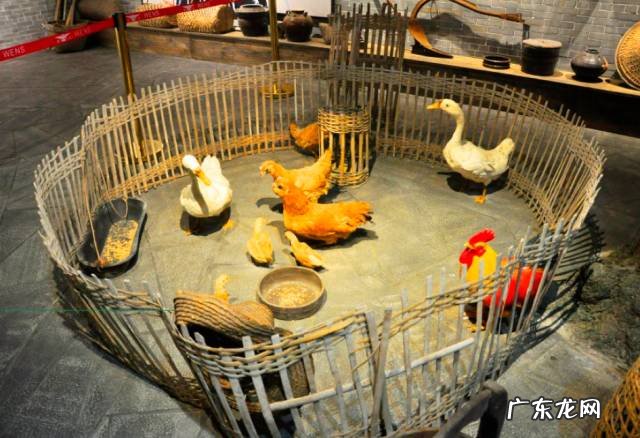 墨玉石是什么石头 风水宝地有石头