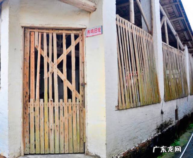 墨玉石是什么石头 风水宝地有石头