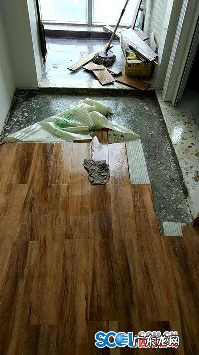 真的是屋漏偏逢连夜雨 屋内漏雨是难得的风水