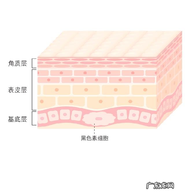 斑是怎么形成的?