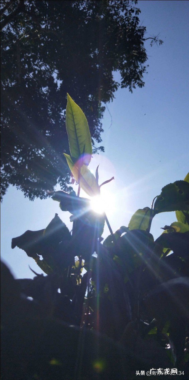 夏天有时想睡也睡不着,怎么解决这个问题?