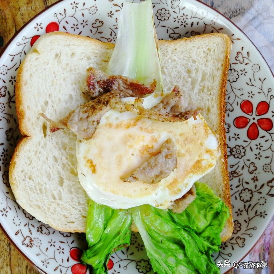 早餐吃什么好?有什么早上起来能快速做的早餐食物?