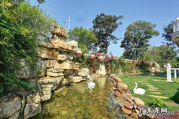 庭院鱼池形状与风水 院子里有鱼池风水