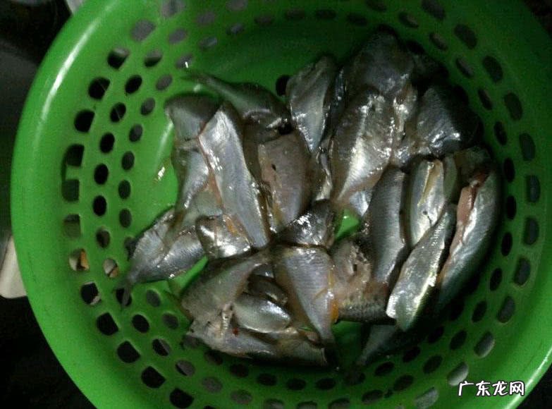 银白色的扁扁的小鱼是什么鱼 银白色的鱼是什么鱼