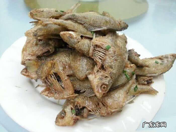 银白色的扁扁的小鱼是什么鱼 银白色的鱼是什么鱼