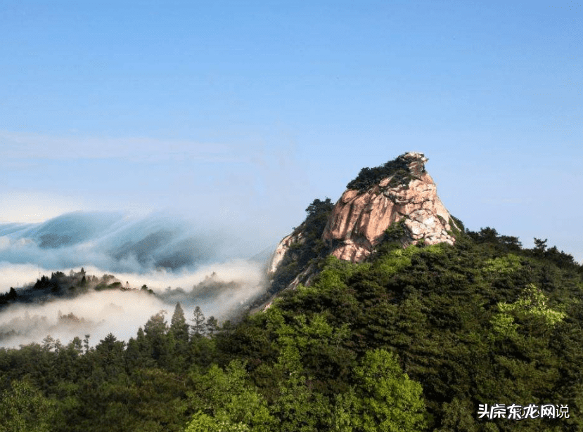 风水公鸡的作用 家里摆放公鸡居然还有这风水作用
