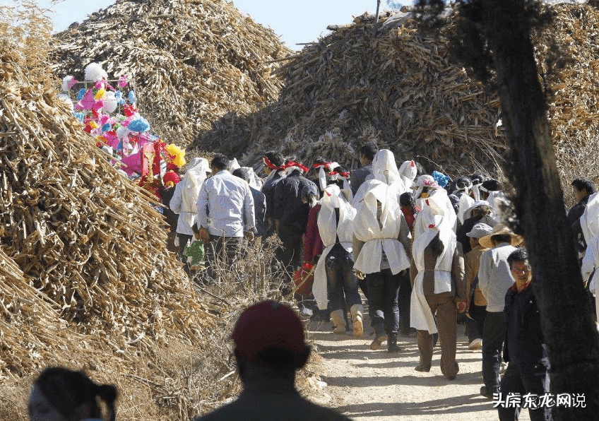 风水公鸡的作用 家里摆放公鸡居然还有这风水作用