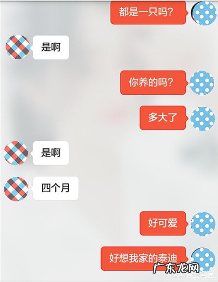 如何开聊,能让女生忍不住喜欢你?