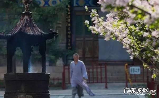 太原五台山跟团一日游怎么样?