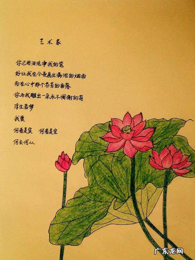 对人生已经绝望,该何去何从?