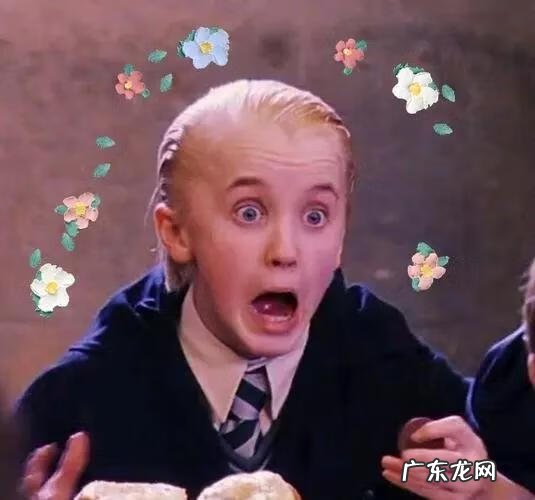 pottermore测试学院 halibote