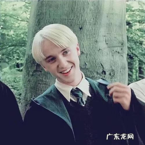 pottermore测试学院 halibote