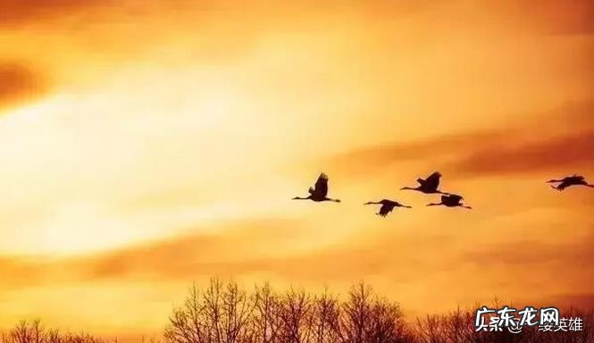 宋之问的《渡汉江》到底是岭外音书断还是岭外音书绝,有何依据?