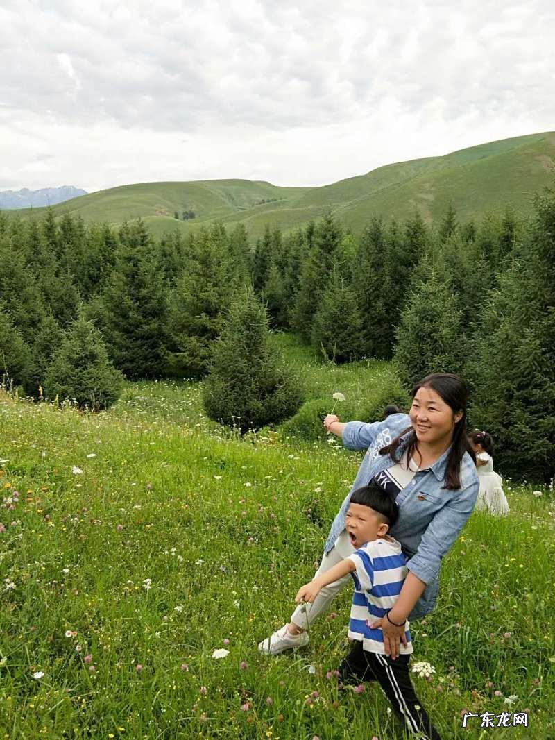 感时花溅泪,恨别鸟惊心。这是神来之笔,虽然是文字,但是似乎无法用文字来解释清楚,您可以解释一下吗?
