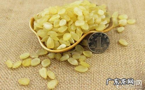 雪莲的功效与作用 雪莲子的功效与作用