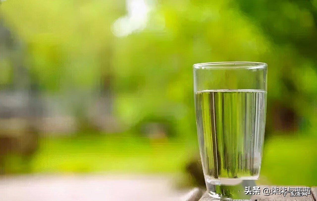 婴儿水中毒自己会好吗 婴儿水中毒如何处理